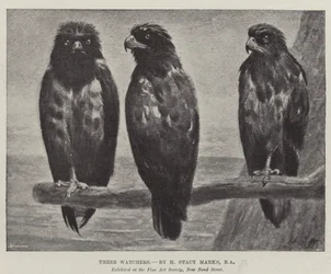 Trois observateurs